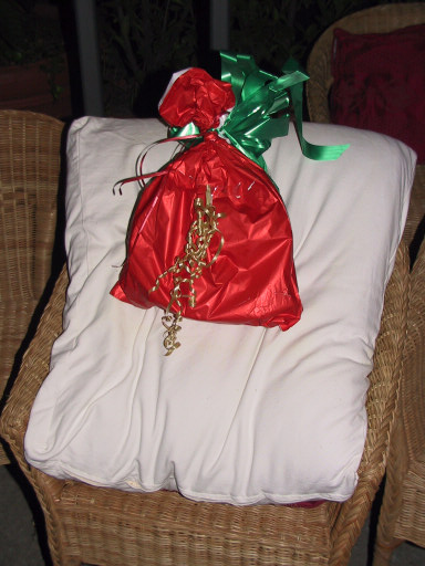 100-0030_IMG.JPG