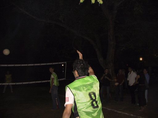 100-0011_IMG.JPG