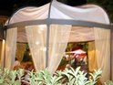 DSCN0480.jpg