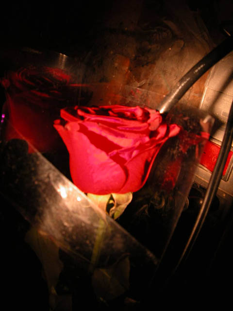 DSCN1671.JPG