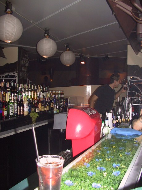 100-0081_IMG.JPG