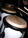DSCN4392.jpg
