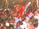 DSCN4956.JPG