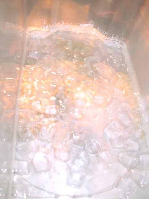 DSCN5167.JPG
