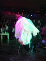 DSCN5747.JPG