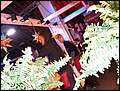 DSCN7168.JPG