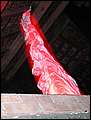 DSCN7724.jpg