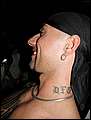 DSCN7738.jpg