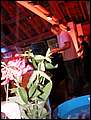 DSCN7994.jpg