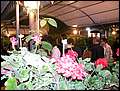 DSCN8019.jpg