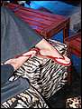 DSCN8190.jpg