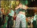 DSCN8286.jpg