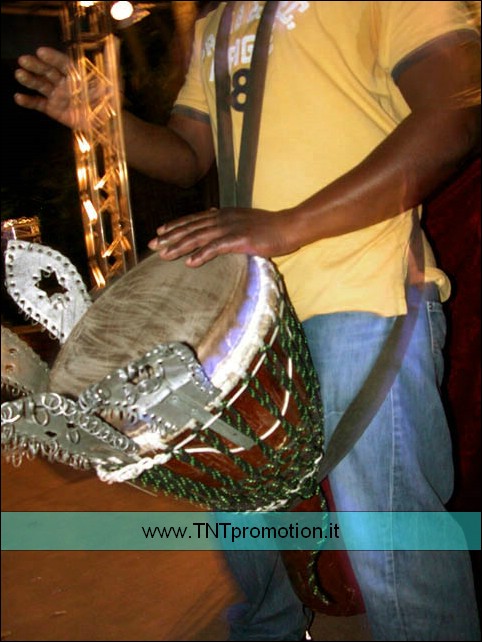 DSCN8469.jpg