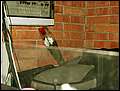 DSCN8447.jpg