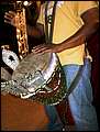 DSCN8469.jpg