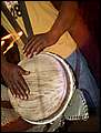 DSCN8473.jpg