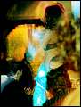 DSCN8519.jpg