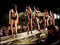 DSCN9106.jpg