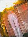 DSCN9233.jpg
