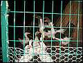 20040716_ 077.jpg