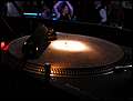 DSCN0408.jpg