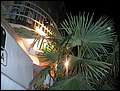 20041022_havana_001.jpg