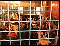 20050308_24.jpg