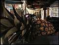 20050318_26_boudica.jpg