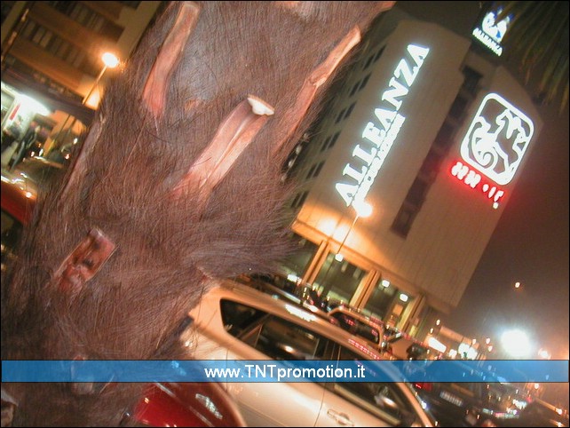 20050407_milano_04.jpg
