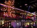 20050410_06.jpg
