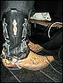 20051126_boudica_28.jpg
